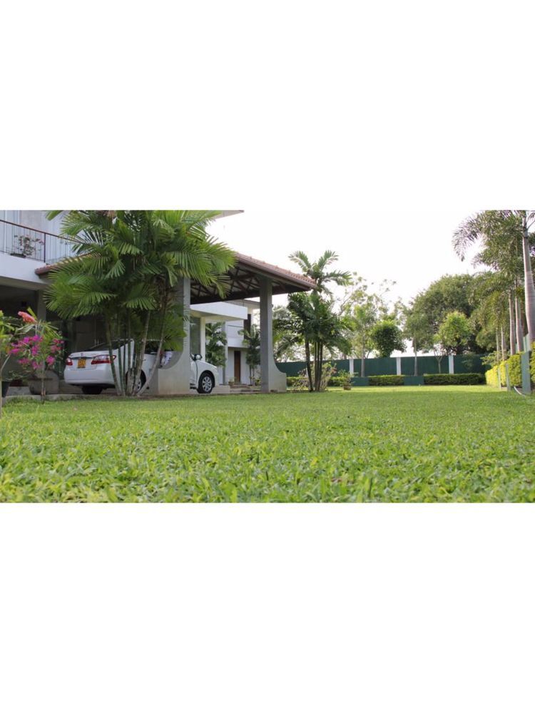 Lake Wind Hotel Tissamaharama Exteriér fotografie